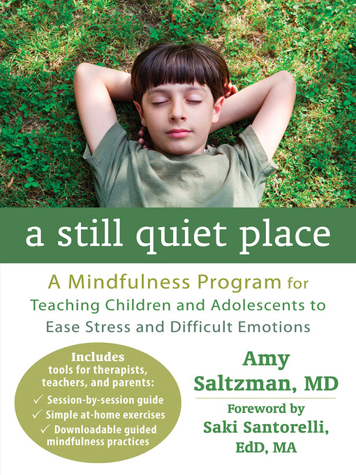 Title details for A Still Quiet Place by Amy Saltzman - Available